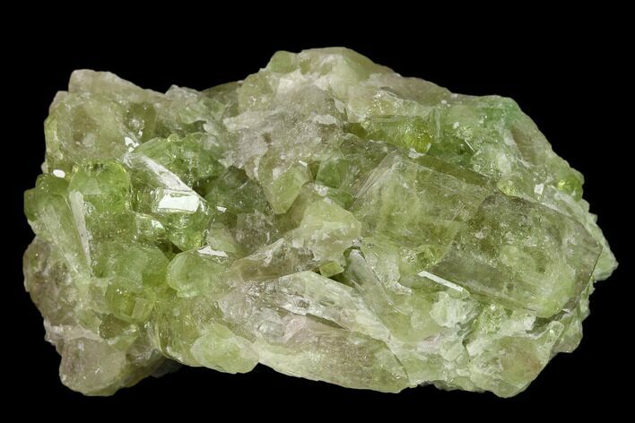 Vesuvianite Crystal Cluster - Jeffrey Mine, Canada #134411